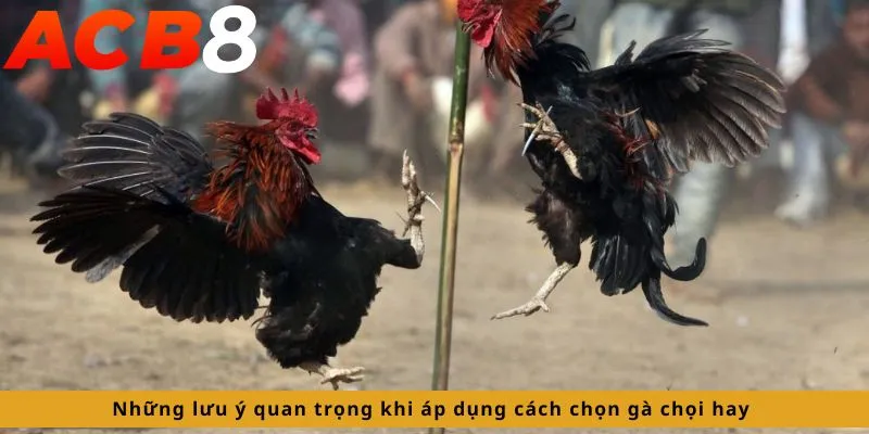 Những lưu ý quan trọng