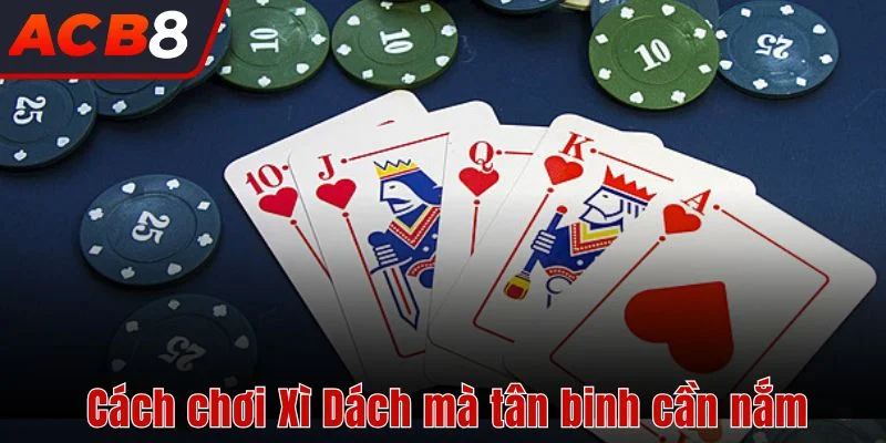Cách chơi Xì Dách mà tân binh cần nắm