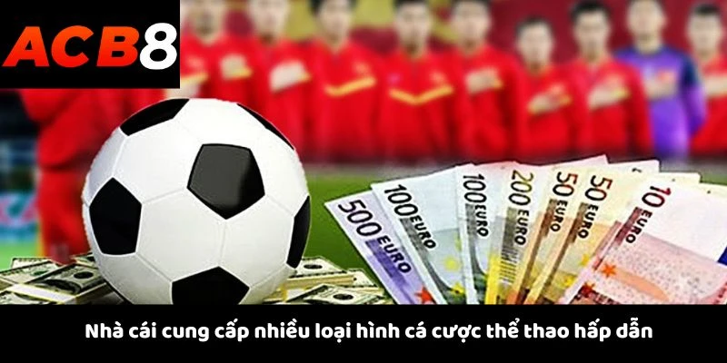 Thể Thao 1 Nhà cái cung cấp nhiều loại hình cá cược thể thao hấp dẫn